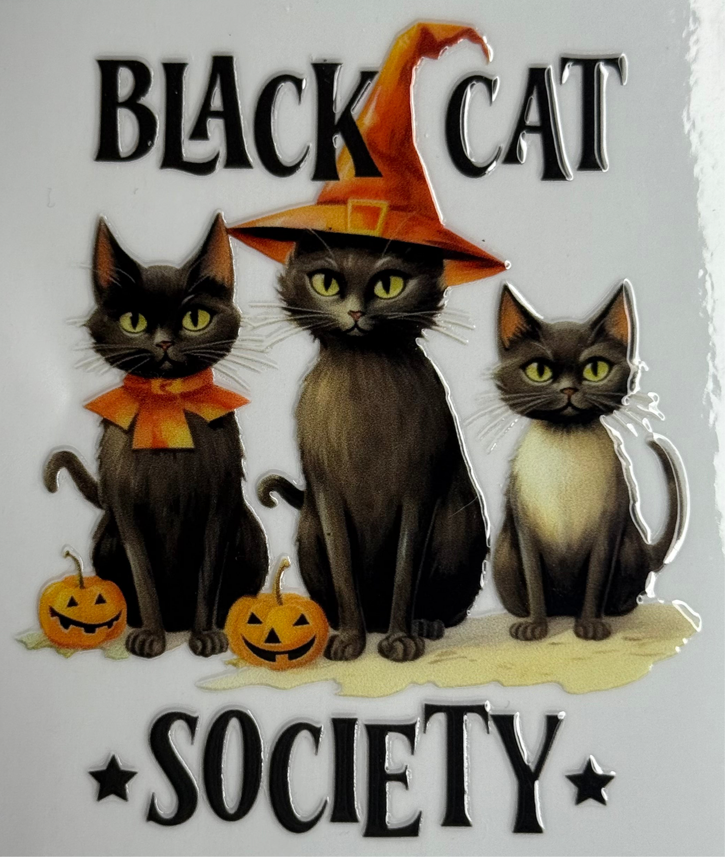 Cats
