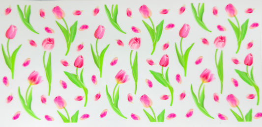 Pink Tulips